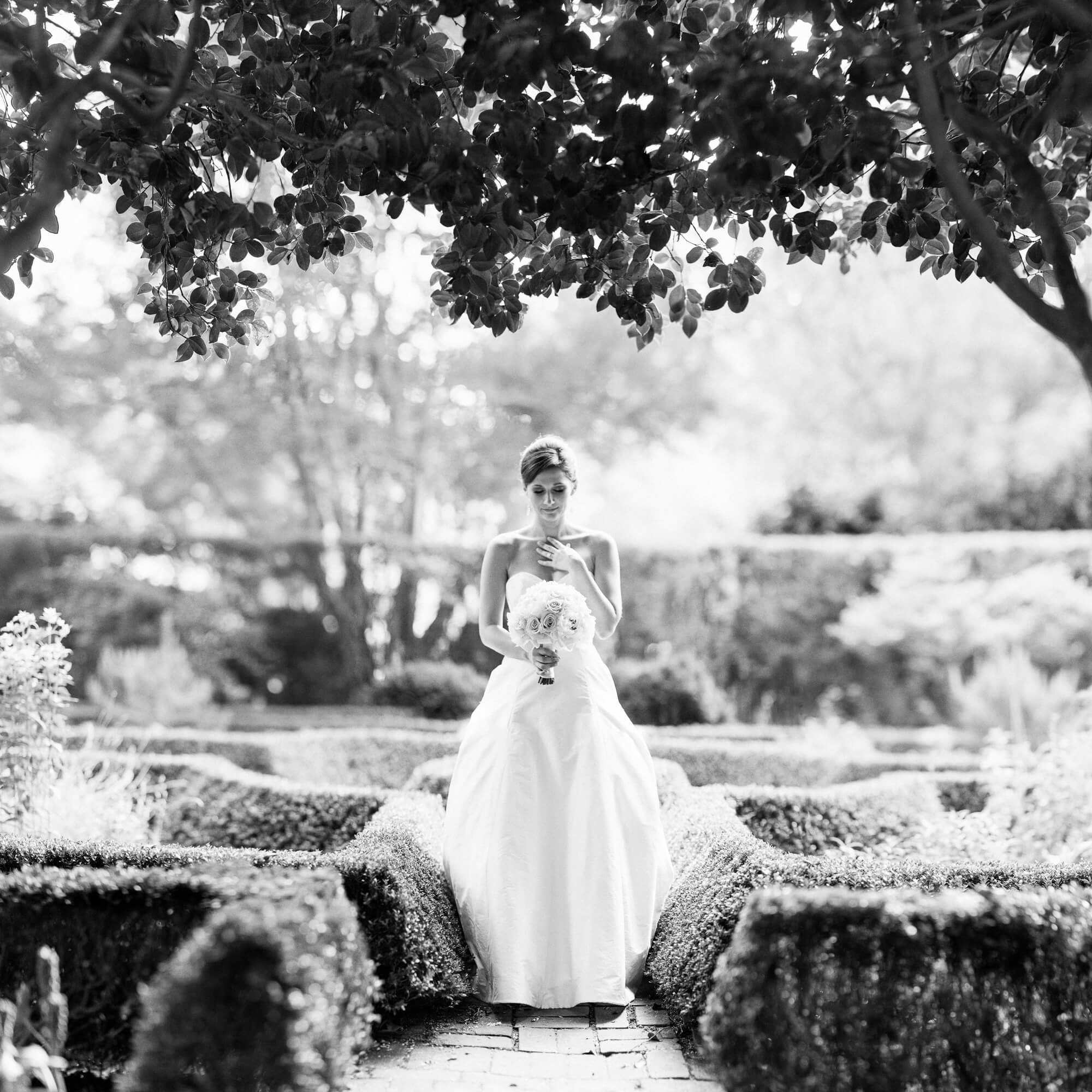 Bridal in the garden - Nathan Abplanalp - Charlotte Portrait Photographer